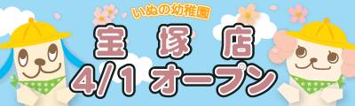 宝塚