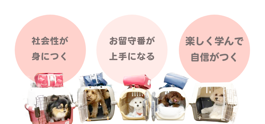 社会性が身につく・お留守番が上手になる・楽しく学んで自信がつく