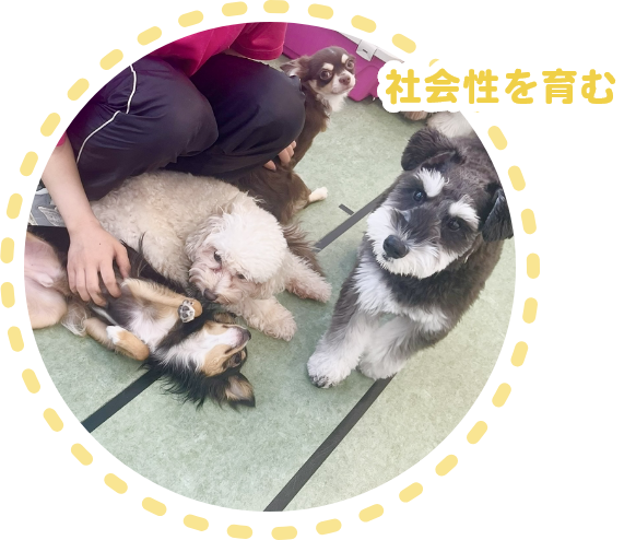 危険回避能力