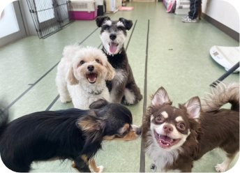 登園・フリータイム