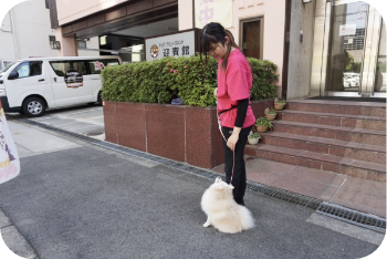 外レッスン