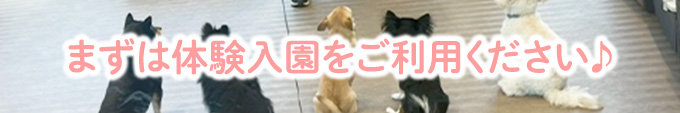 コース・料金表