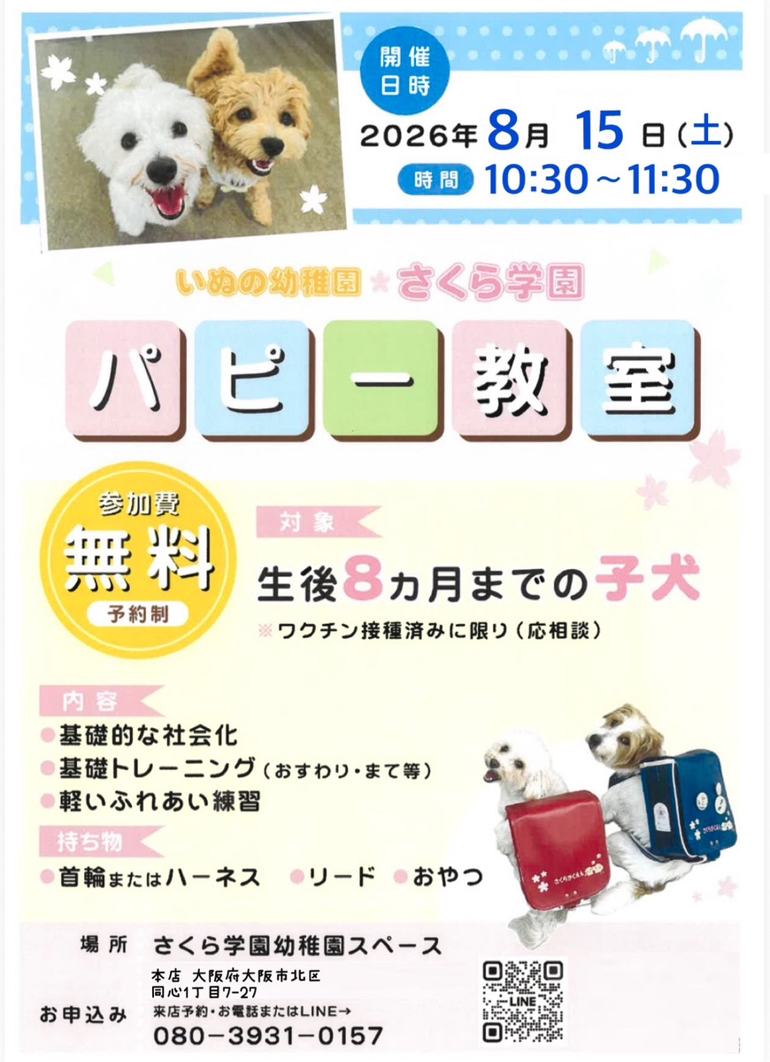 子犬の今だからこそ大切な“社会化”